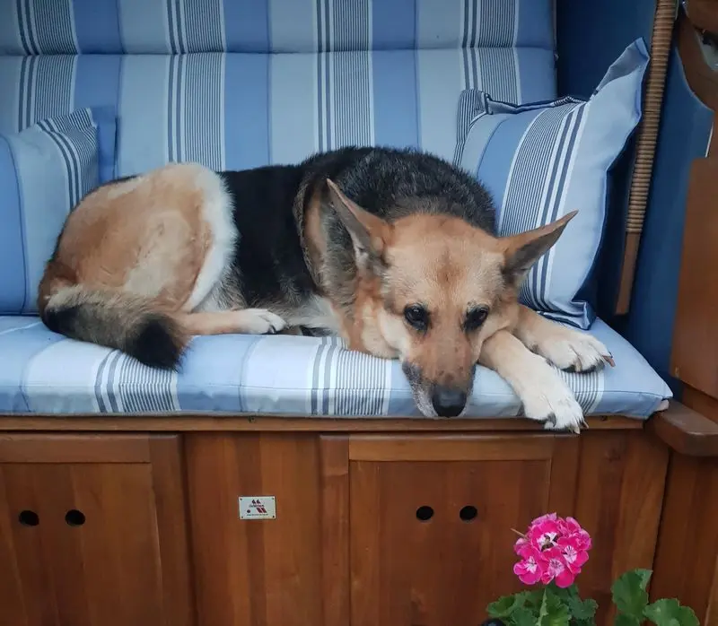 Andachtsbild von Helga mit Hannah (gest. 06.03.2021)