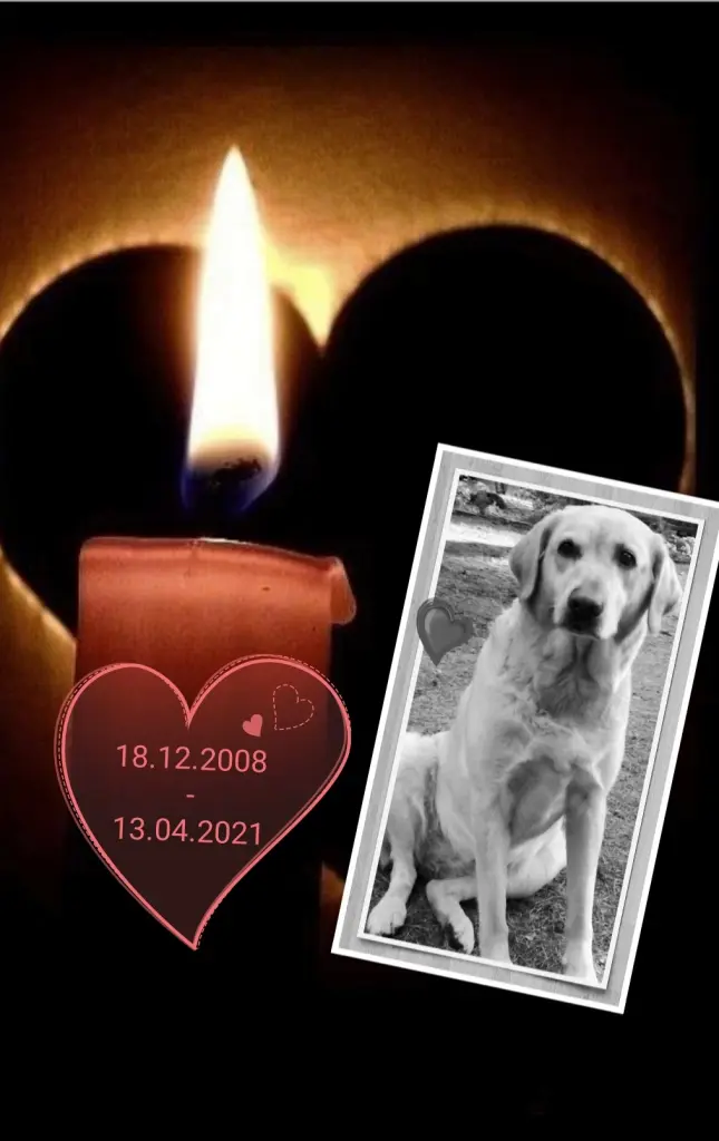 Image from Shanty