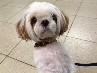 Image from Byeol