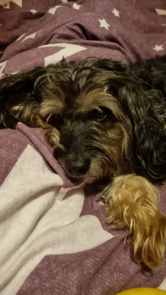 Condolence image of Sabine