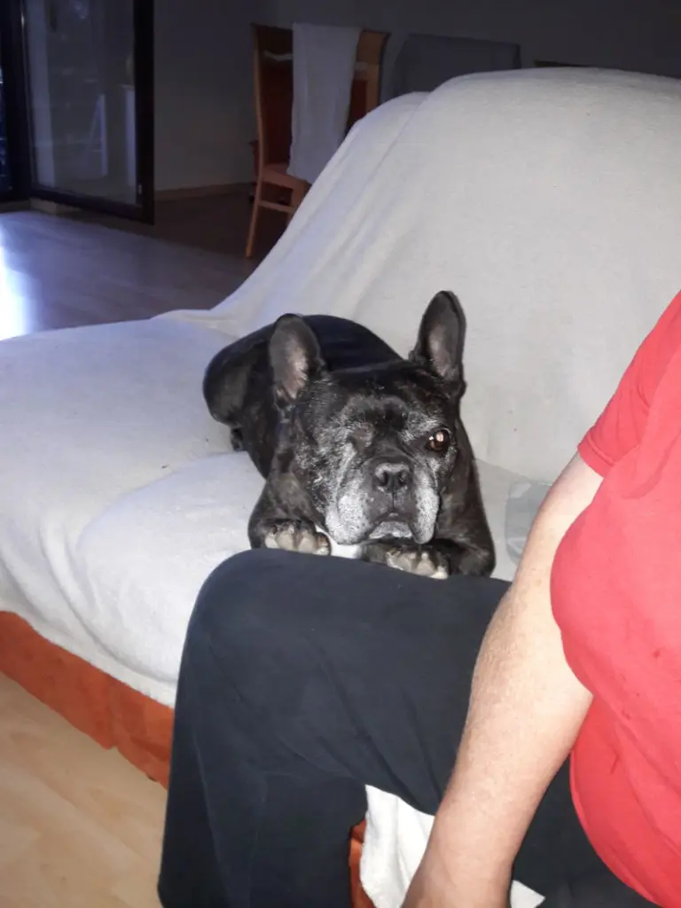 Condolence image of Alois und Gudrun mit Yoda im Herzen 