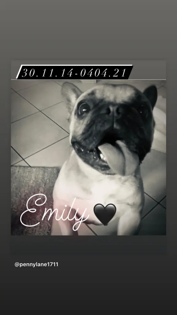 Condolence image of Tanja