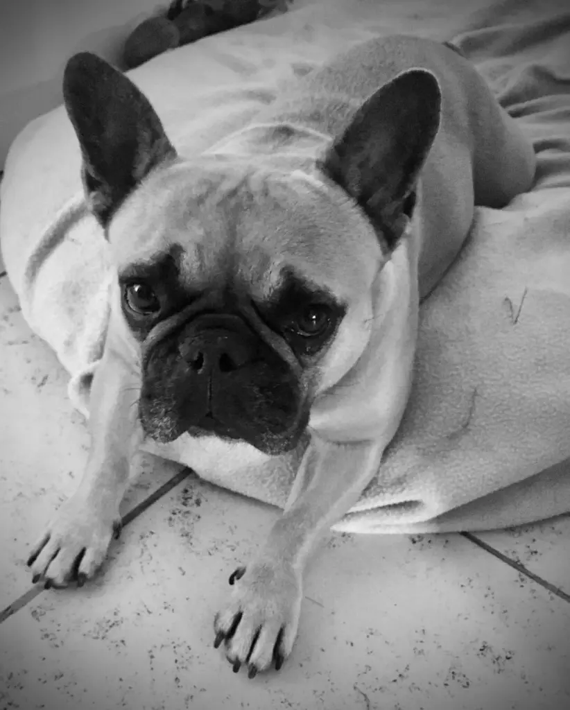 Condolence image of Tanja