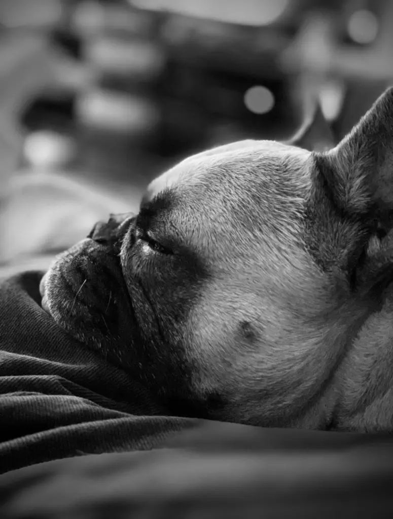 Condolence image of Tanja