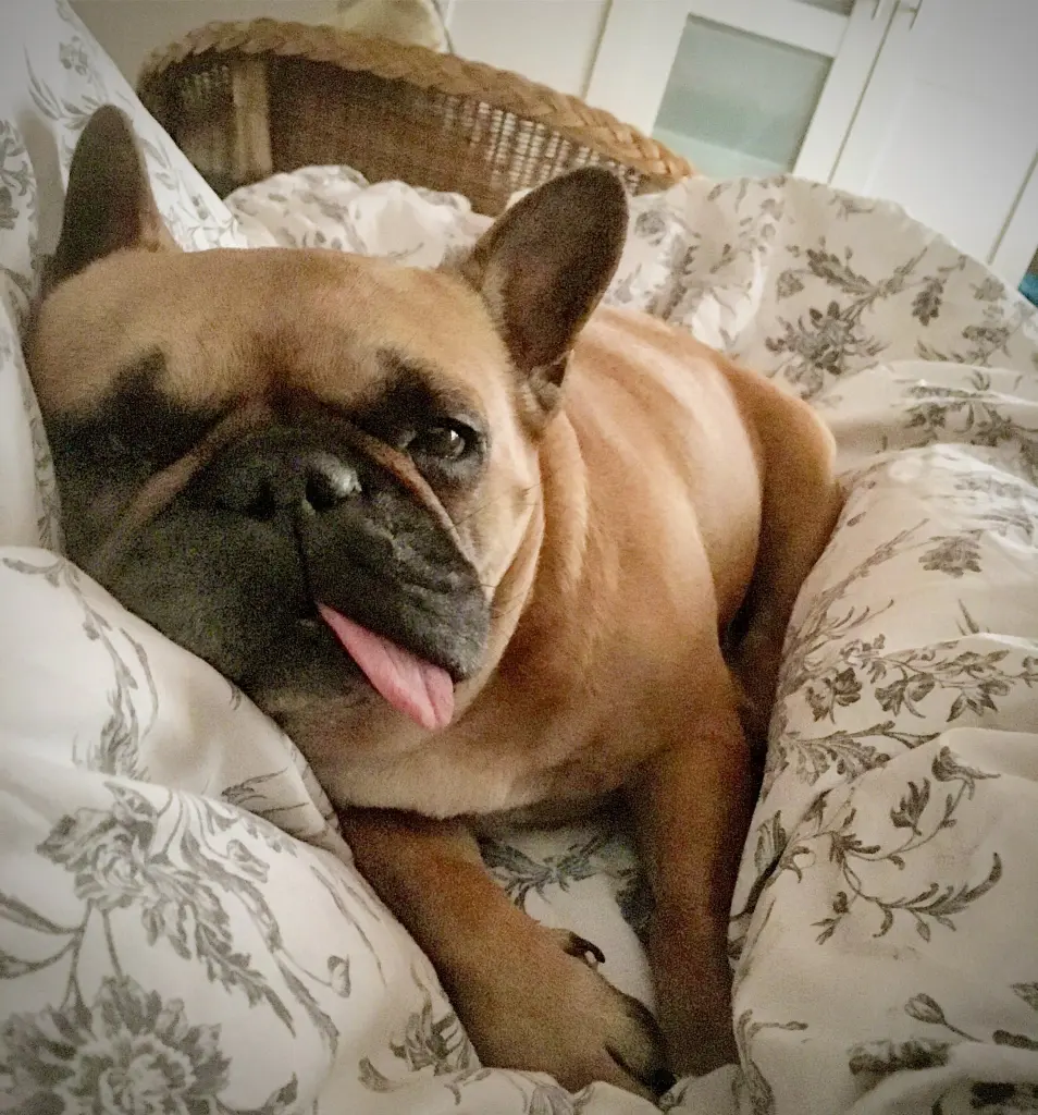 Condolence image of Tanja