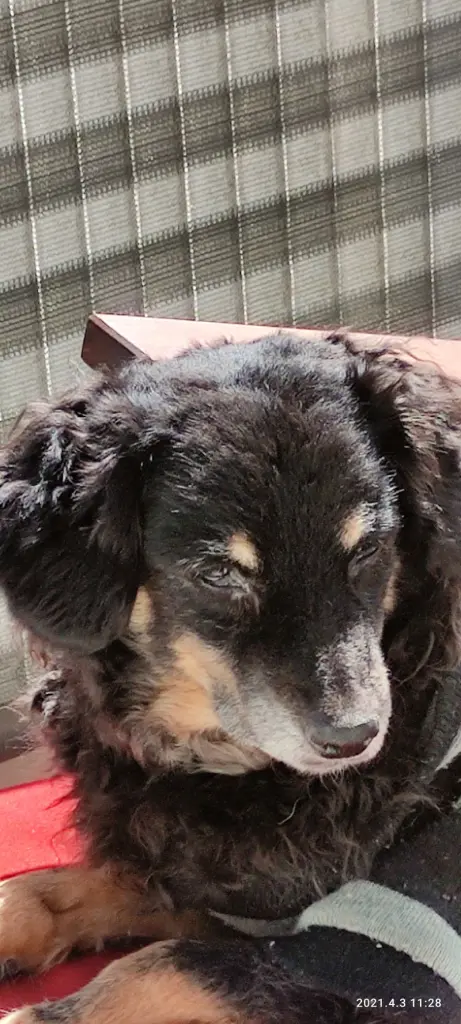 Condolence image of Rainer