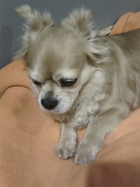 Condolence image of Erna