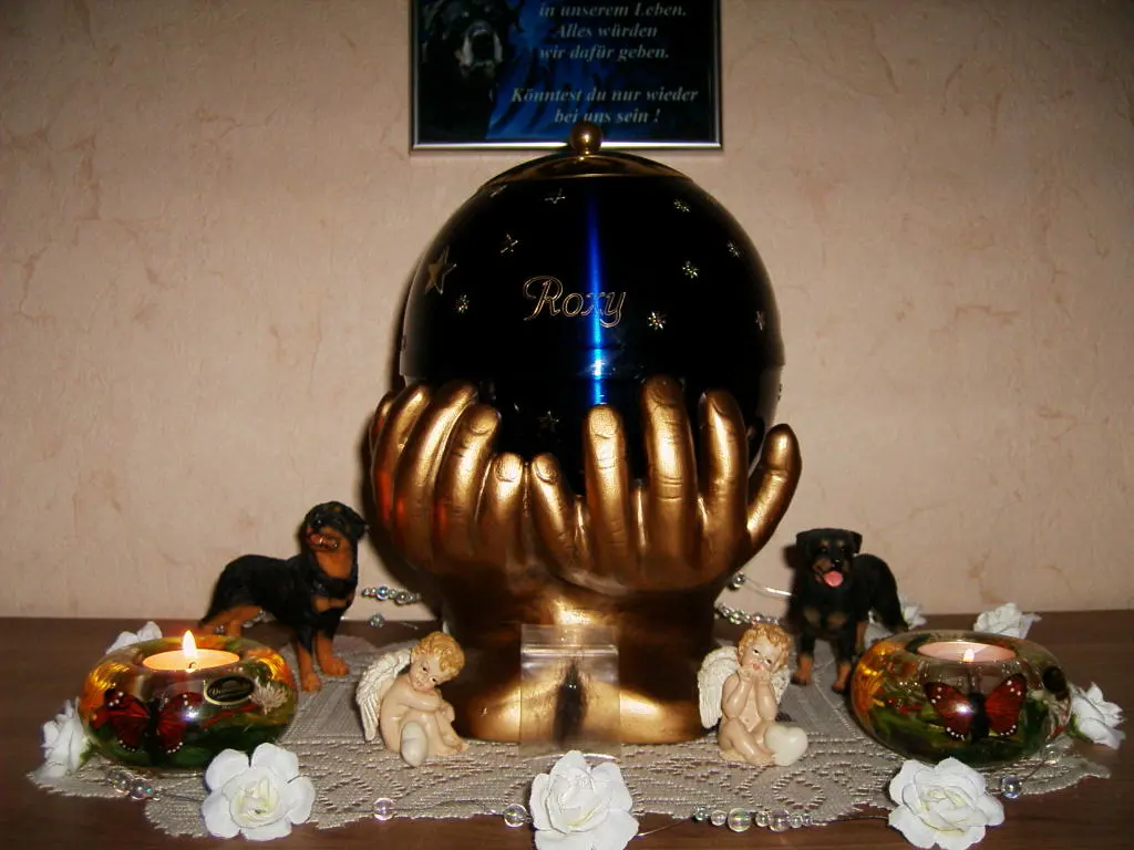Condolence image of Purzel