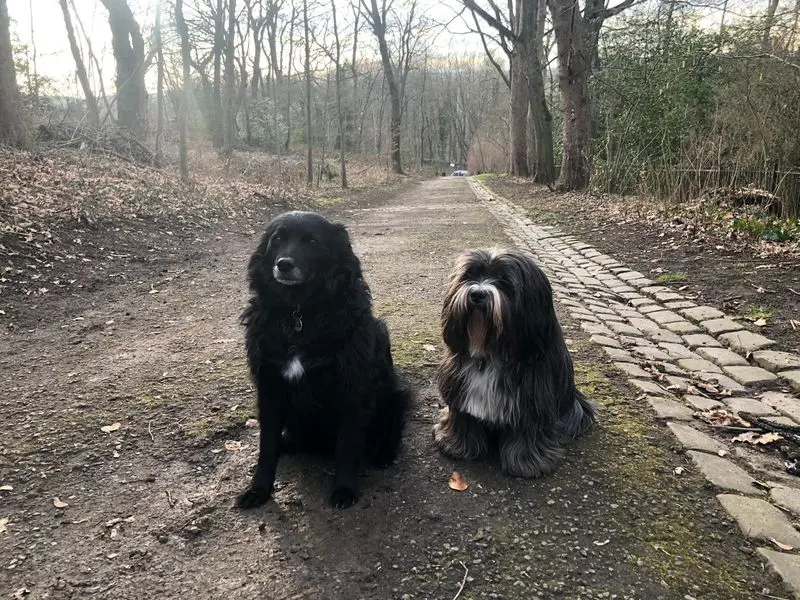 Condolence image of Thammy , curly und ich