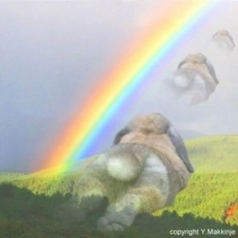 Andachtsbild von Katrin und Katzi im ❤️