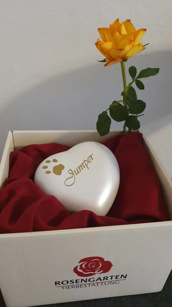 Image from Jumper