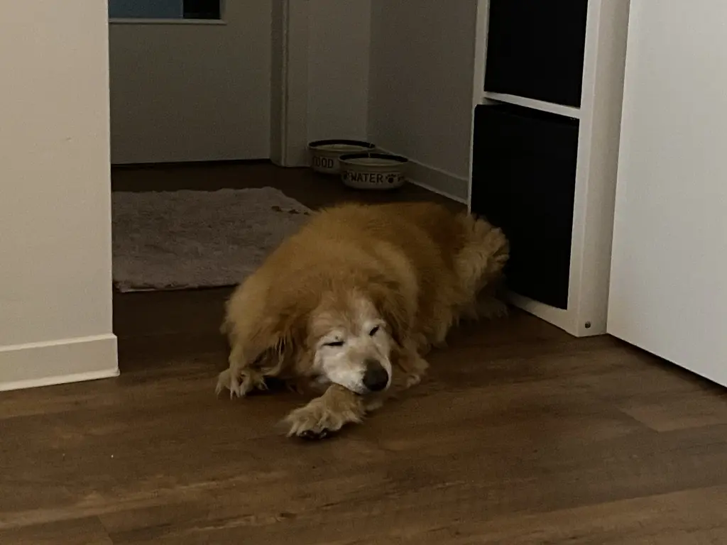 Image from Barney