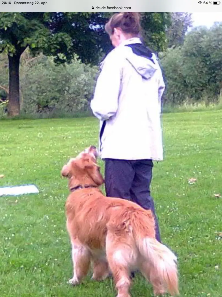 Image from Aslan