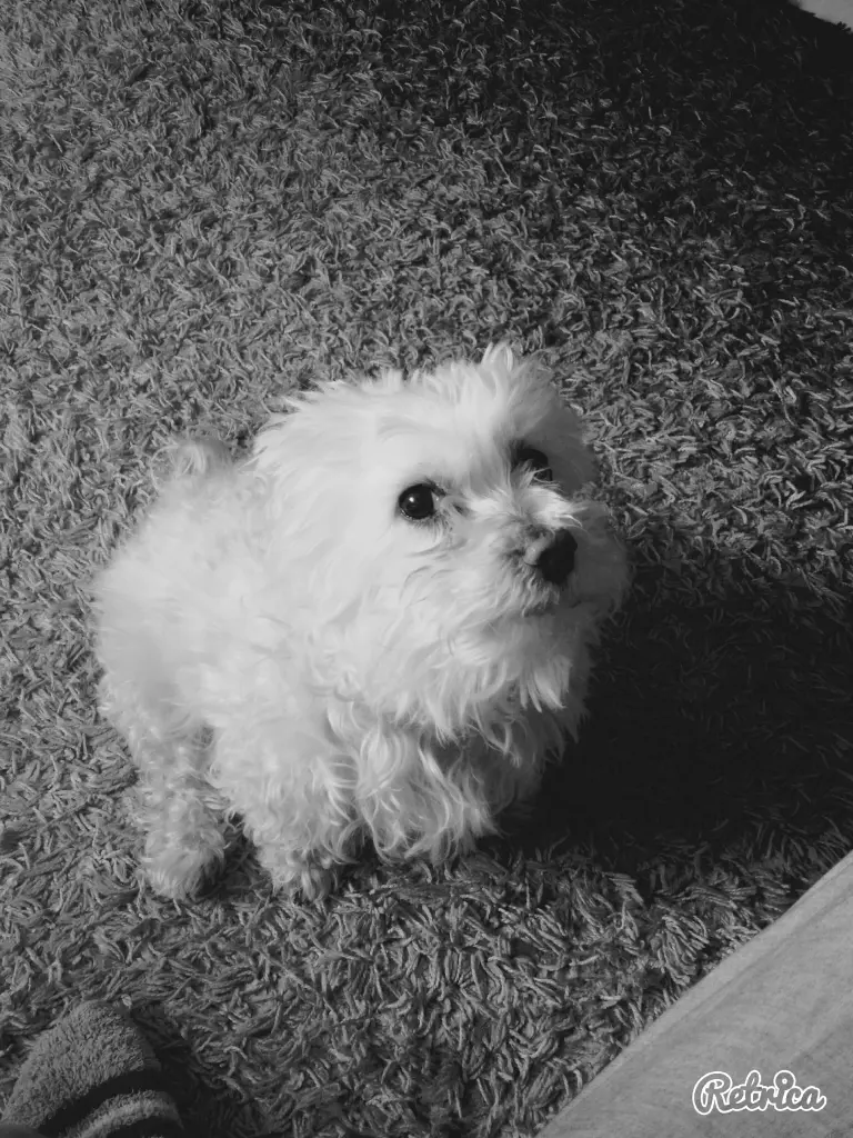 Image from Nelly