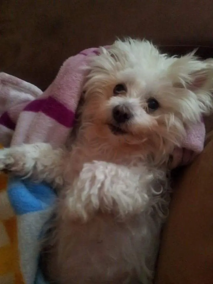 Image from Nelly