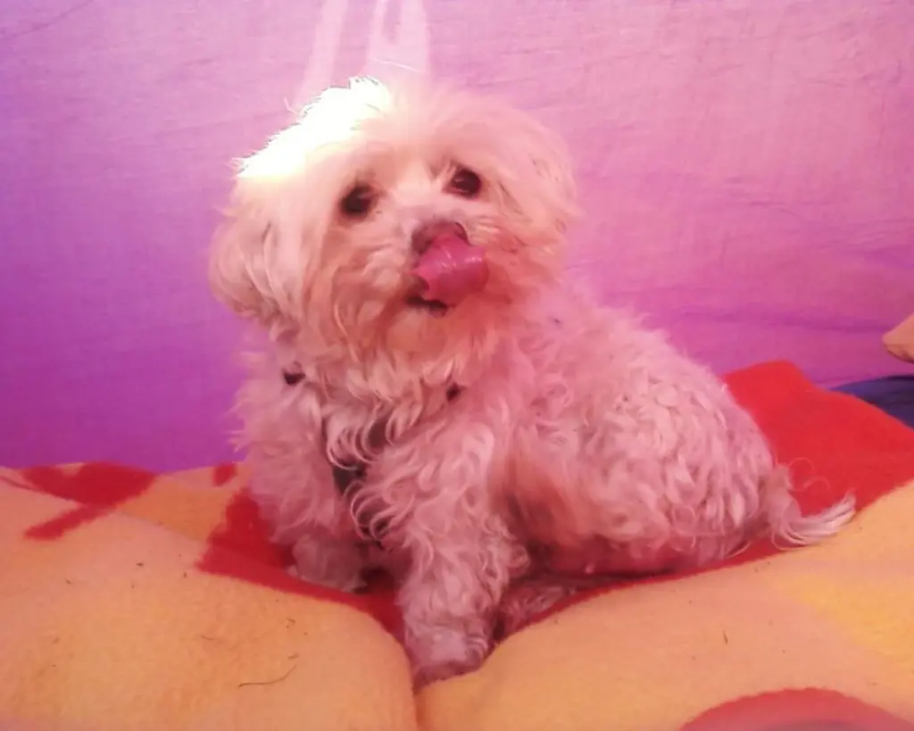 Image from Nelly