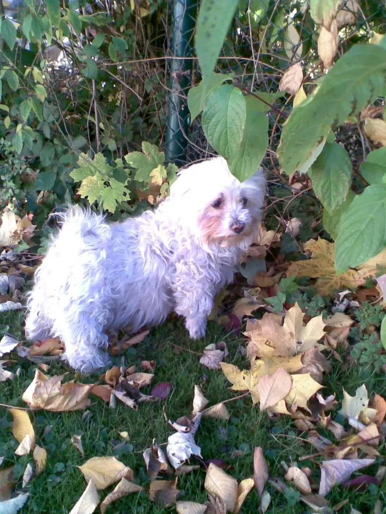 Image from Nelly