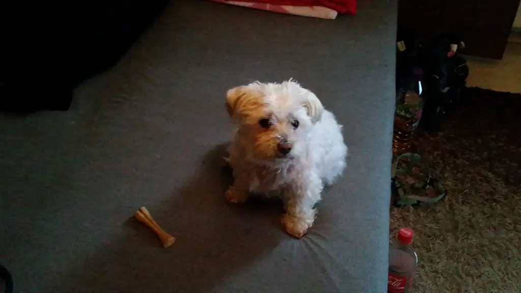 Image from Nelly