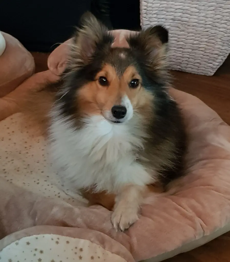 Image from Lücie