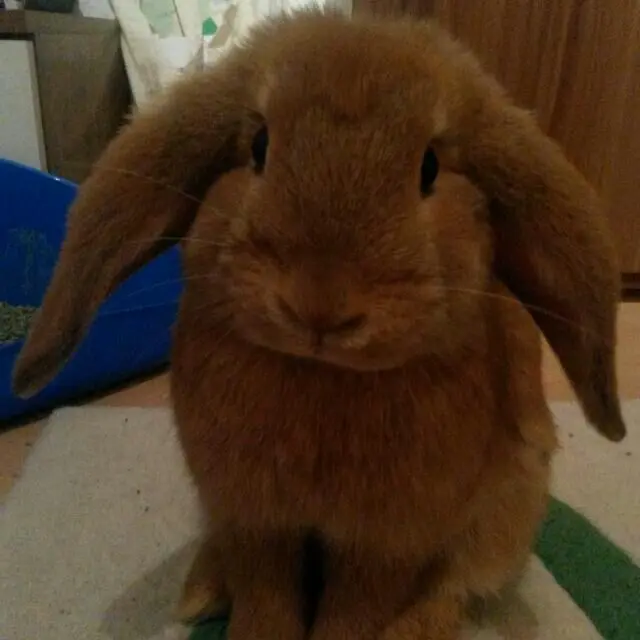 Image from Sammie
