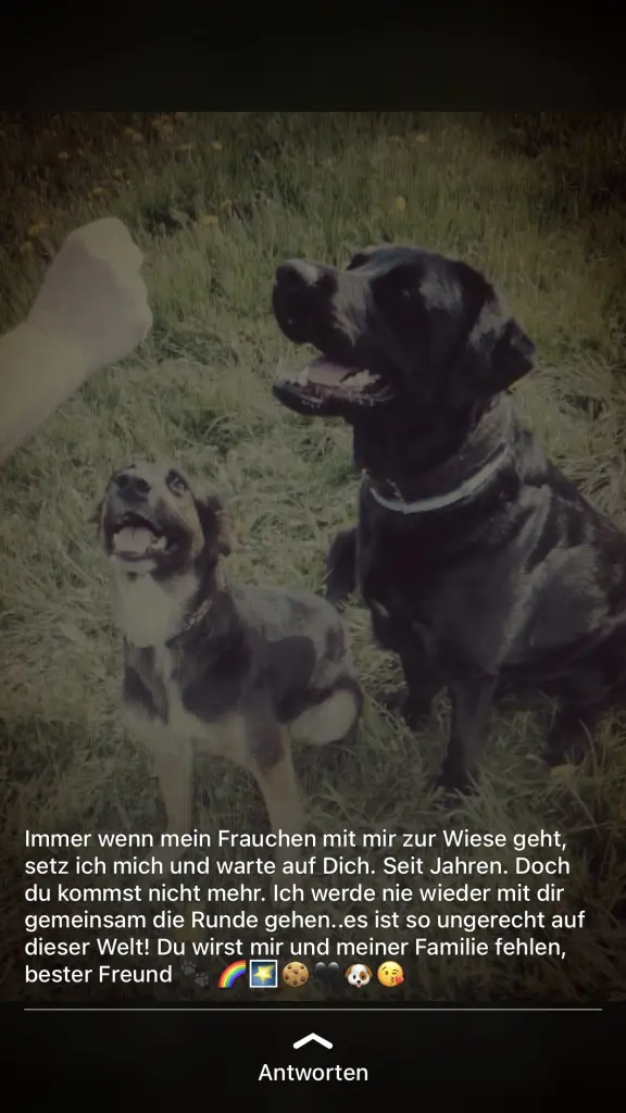 Image from Keks