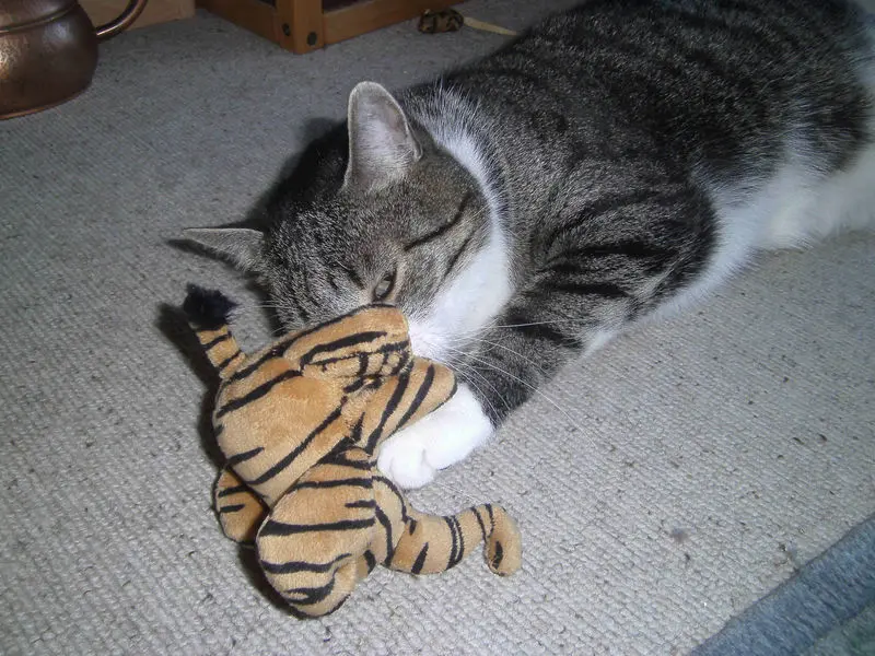 Condolence image of Susanne