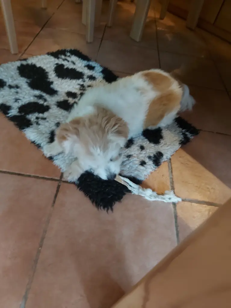 Image from Rusty