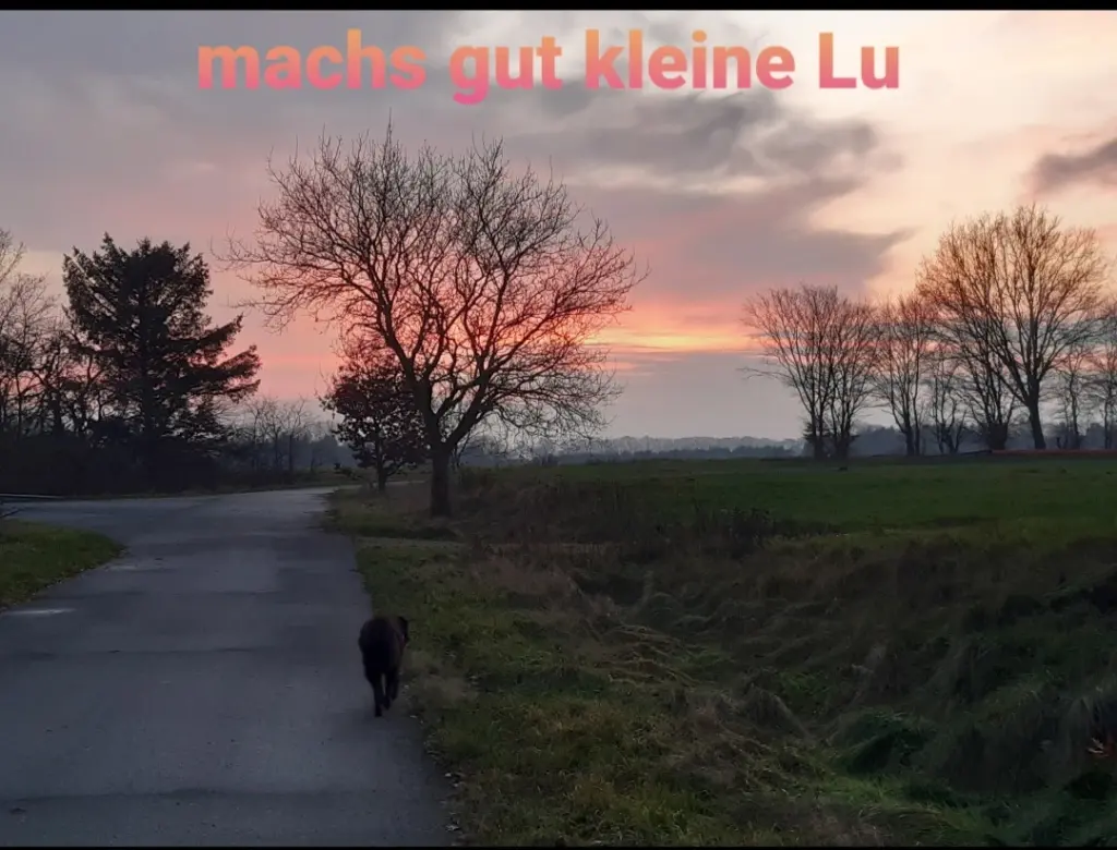 Image from Lucy