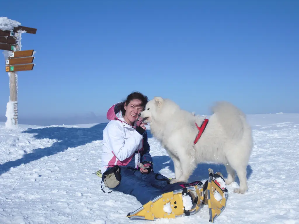 Image from Snowy