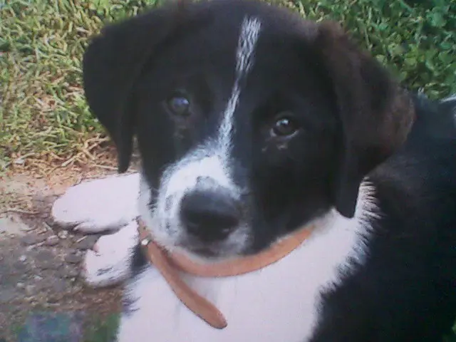 Image from Buddy