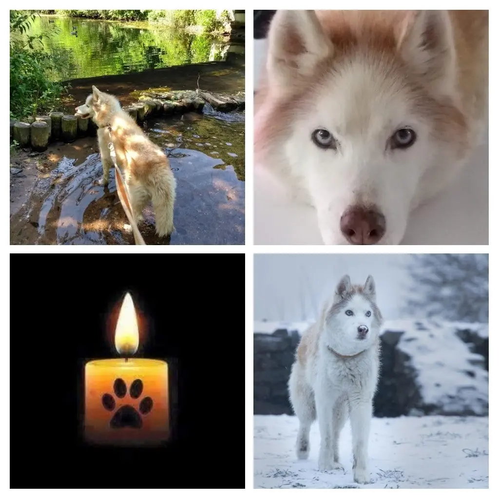 Condolence image of Marga