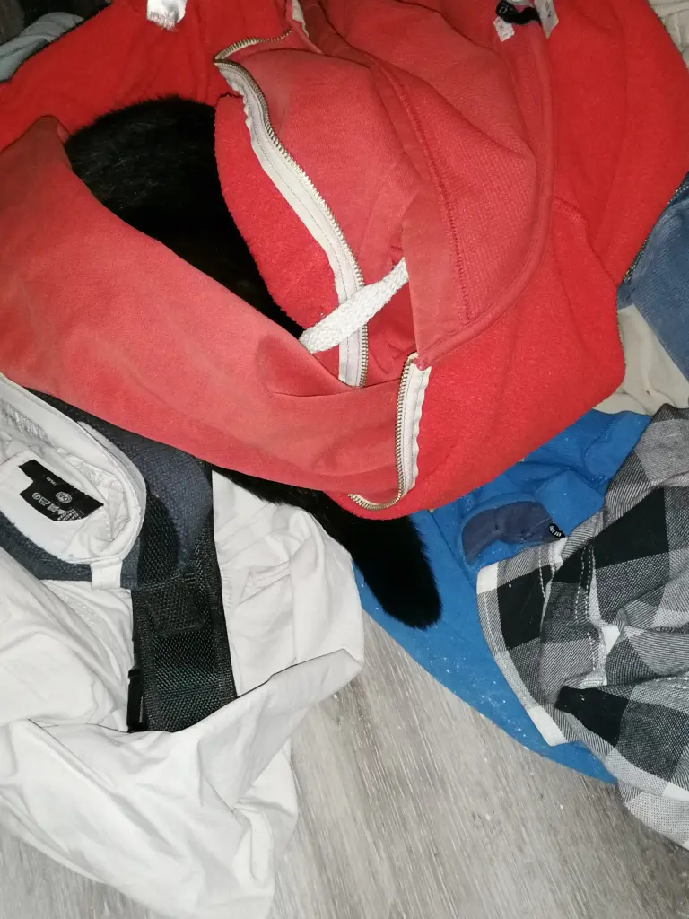 Image from Felix