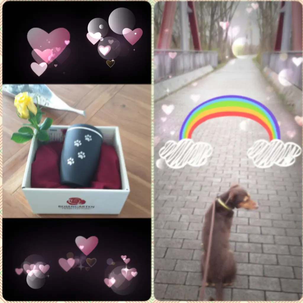 Image from Dexter 
