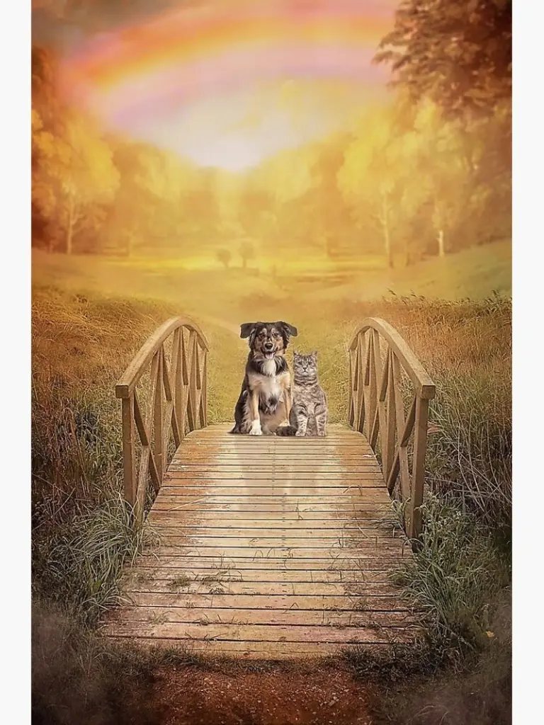 Condolence image of Katrin und Katzi im ❤️
