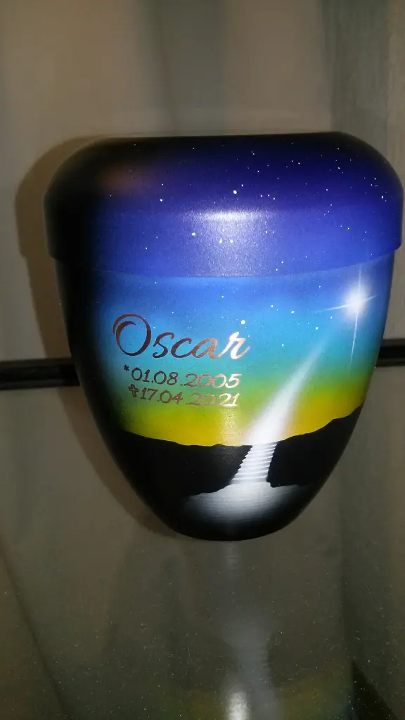 Image from Oscar