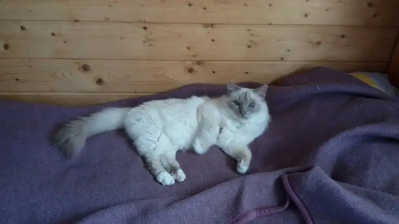 Condolence image of Katrin mit Felix im ♥