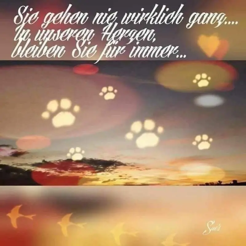 Andachtsbild von Katrin und Katzi im ❤️