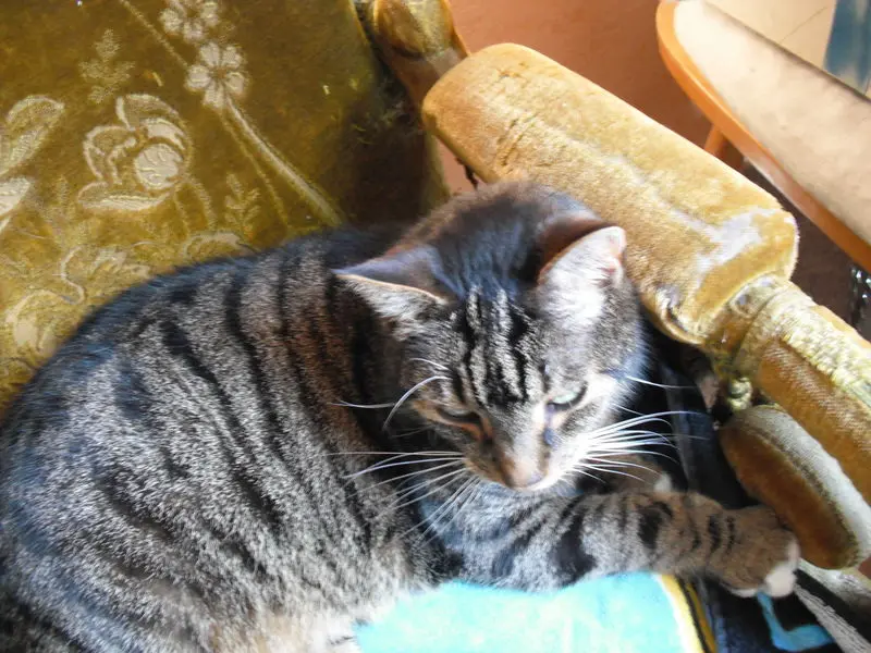 Andachtsbild von Karin und Benni, gest. 24.03.2021