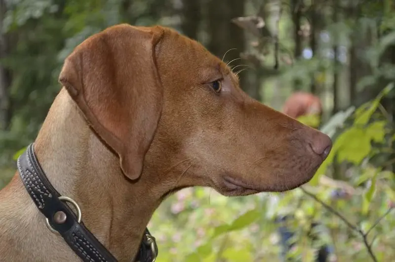 Condolence image of Anja