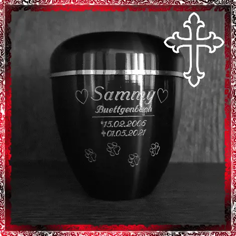 Image from Sammy Buettgenbach