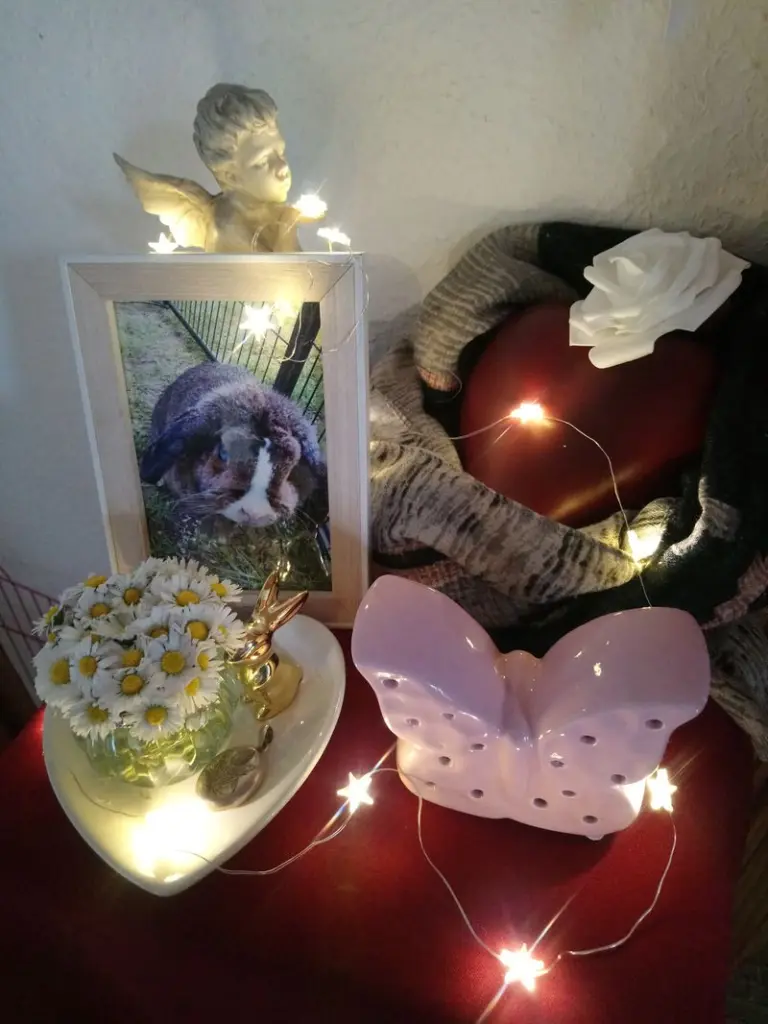 Condolence image of Unvergessen ❤️