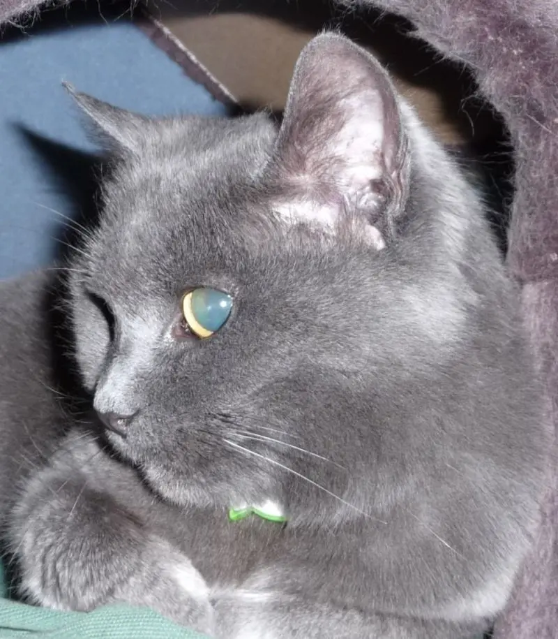 Andachtsbild von Conny