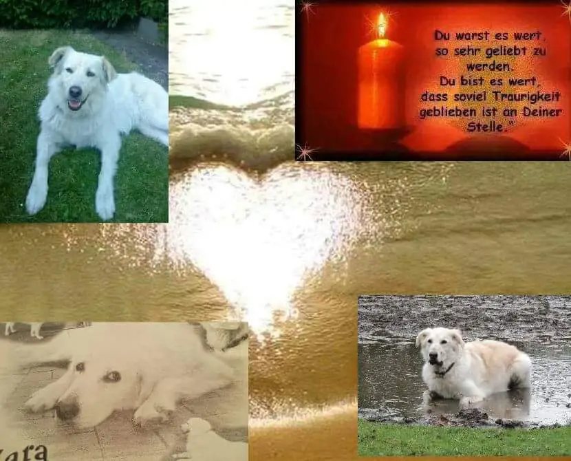 Condolence image of Martina