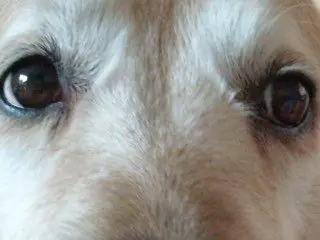 Image from Vroni
