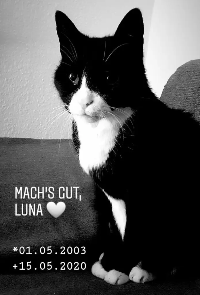 Image from Luna
