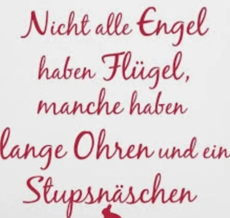 Condolence image of Andrea mit Mausi im Herzen
