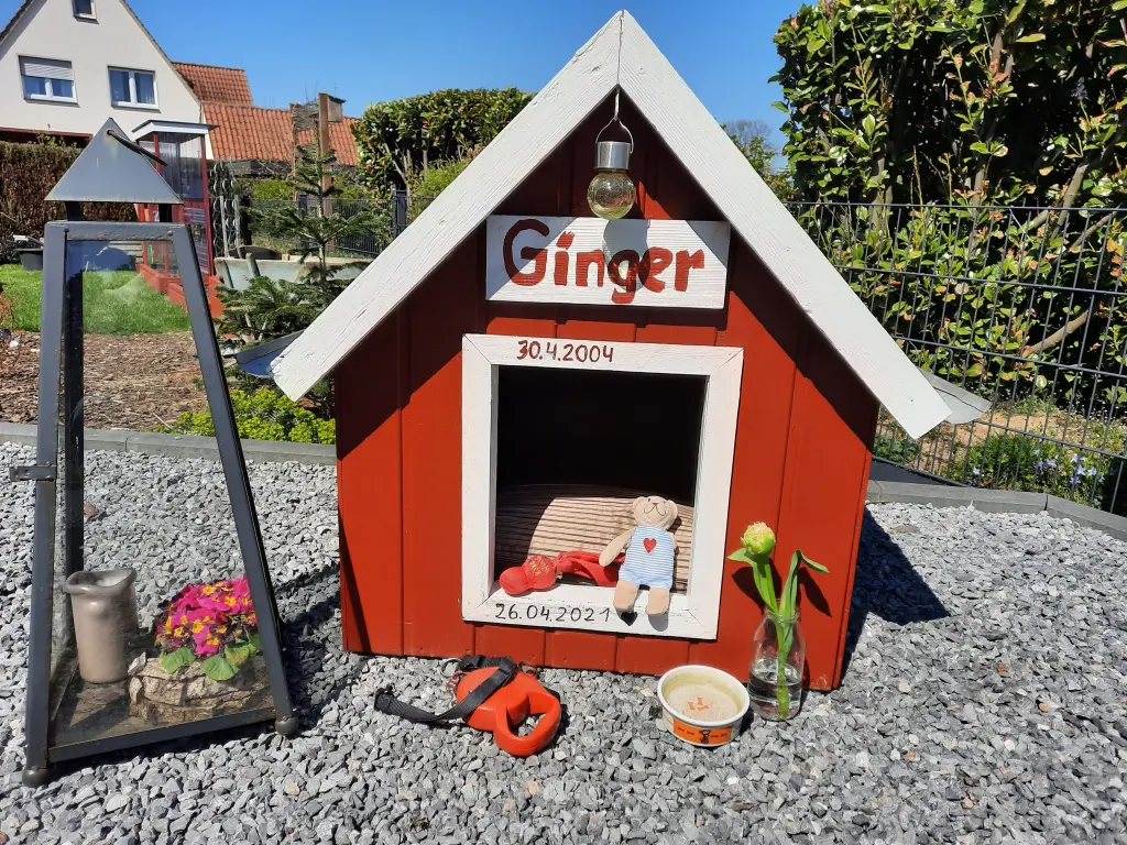Image from Ginger