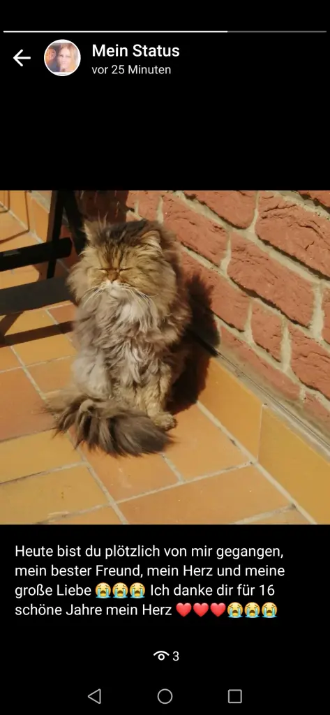 Image from Garfield 