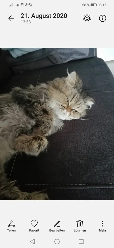 Image from Garfield