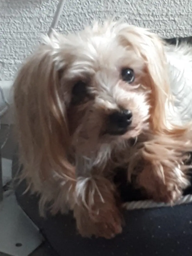 Image from Ernie